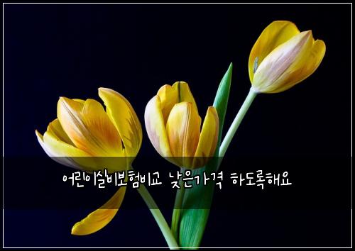 ์ด๋ฆฐ์ด์ค๋น๋ณดํ๋น๊ต ๋ฎ์๊ฐ๊ฒฉ ํ๋๋กํด์
