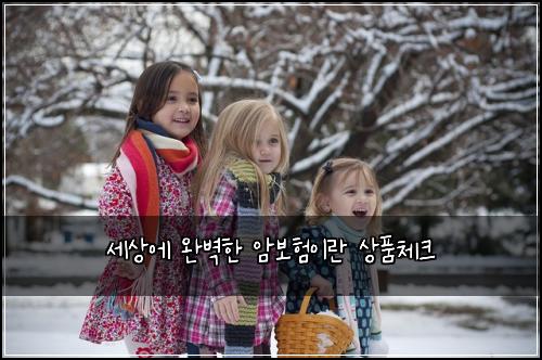 세상에 완벽한 암보험이란 상품체크