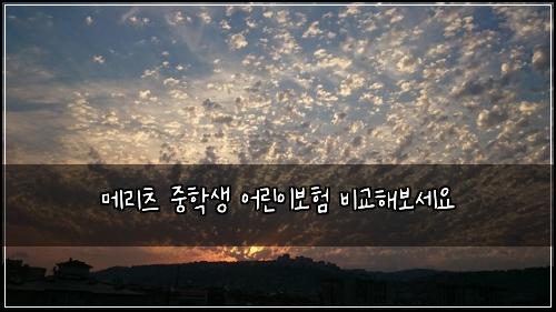 ๋ฉ๋ฆฌ์ธ ์คํ์ ์ด๋ฆฐ์ด๋ณดํ ๋น๊ตํด๋ณด์ธ์