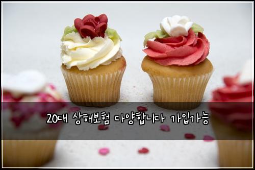 20대 상해보험 다양합니다  가입가능