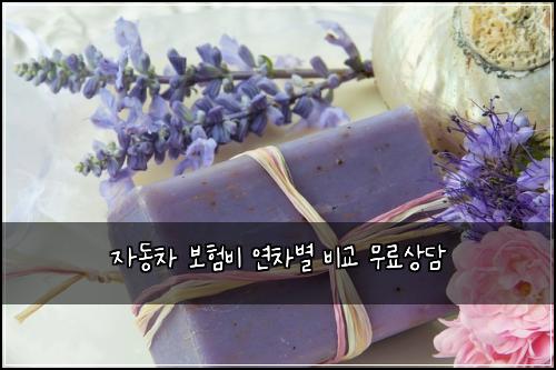 ์๋์ฐจ ๋ณดํ๋น ์ฐ์ฐจ๋ณ ๋น๊ต ๋ฌด๋ฃ์๋ด