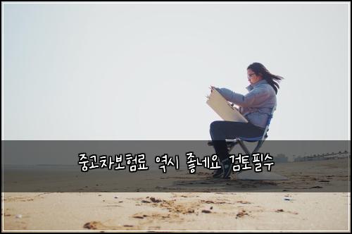 중고차보험료 역시 좋네요 검토필수