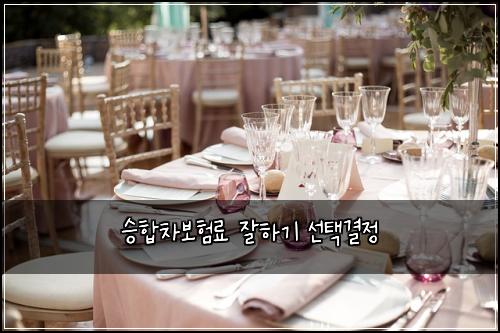 ์นํฉ์ฐจ๋ณดํ๋ฃ ์ํ๊ธฐ ์ ํ๊ฒฐ์ 