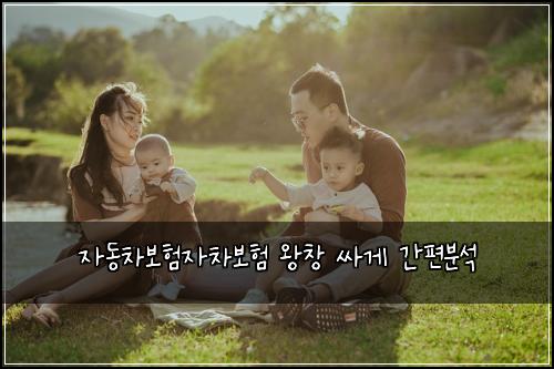 ์๋์ฐจ๋ณดํ์์ฐจ๋ณดํ ์์ฐฝ ์ธ๊ฒ ๊ฐํธ๋ถ์