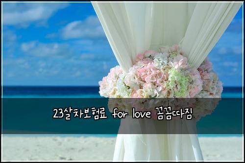 23μ΄μ°¨λ³΄νλ£ for love κΌΌκΌΌλ°μ§