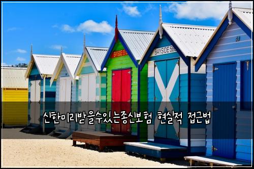 신한미리받을수있는종신보험 현실적 접근법