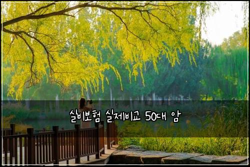 실비보험 실제비교  50대 암