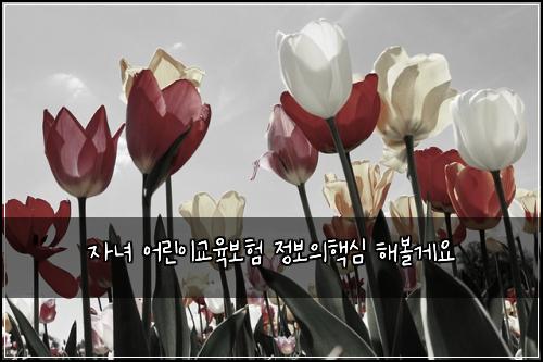 자녀 어린이교육보험 정보의핵심  해볼게요
