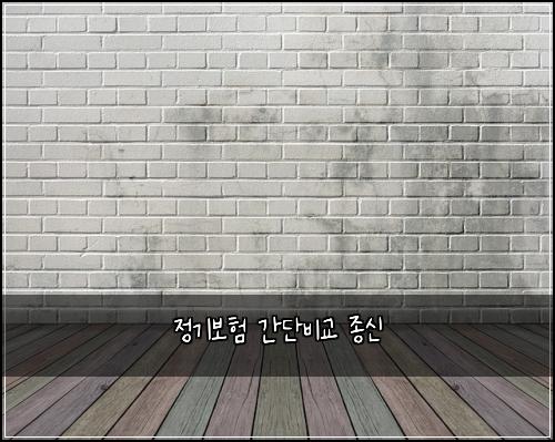 ์ ๊ธฐ๋ณดํ ๊ฐ๋จ๋น๊ต ์ข
์