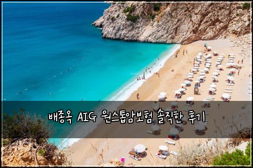 배종옥 AIG 원스톱암보험 솔직한 후기