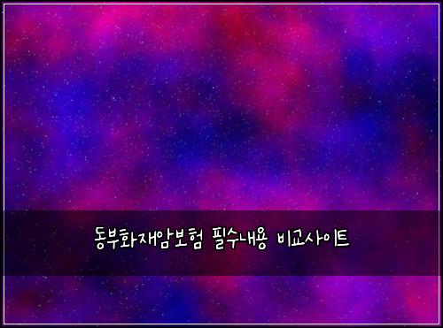 동부화재암보험 필수내용  비교사이트