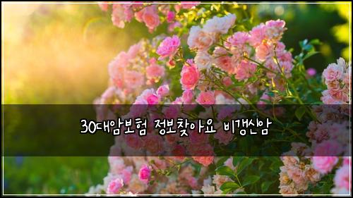 30๋์๋ณดํ ์ ๋ณด์ฐพ์์ ๋น๊ฐฑ์ ์