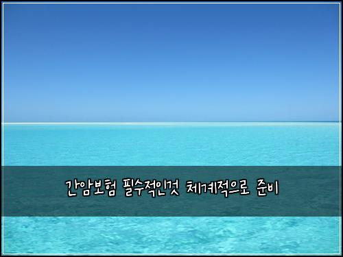간암보험 필수적인것  체계적으로 준비