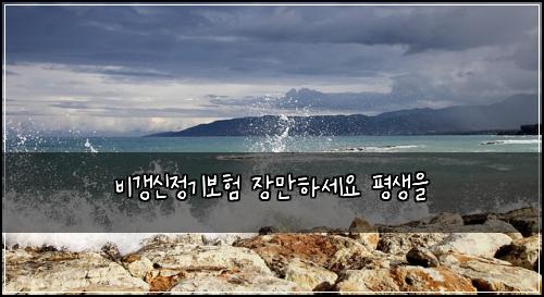 비갱신정기보험 장만하세요  평생을