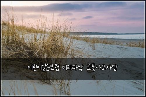 ์ด๋ฆฐ์ด์ค์๋ณดํ ๋ฏธ๋ฆฌํ์
๊ตํต์ฌ๊ณ ์ฌ๋ง