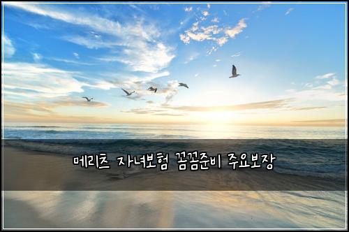 메리츠 자녀보험 꼼꼼준비  주요보장