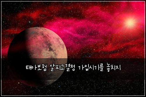 태아보험 살피고결정  가입시기를 놓치지