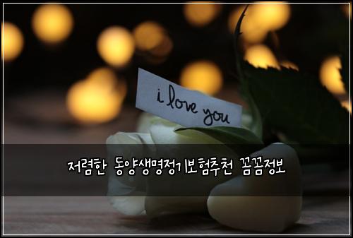 ์ ๋ ดํ ๋์์๋ช
์ ๊ธฐ๋ณดํ์ถ์ฒ ๊ผผ๊ผผ์ ๋ณด