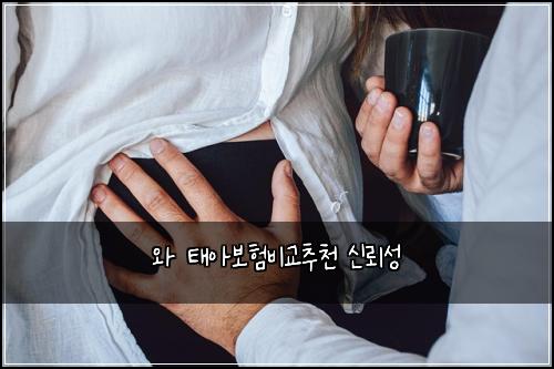 ์ ํ์๋ณดํ๋น๊ต์ถ์ฒ ์ ๋ขฐ์ฑ