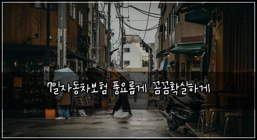 7일자동차보험 풍요롭게  꼼꼼확실하게