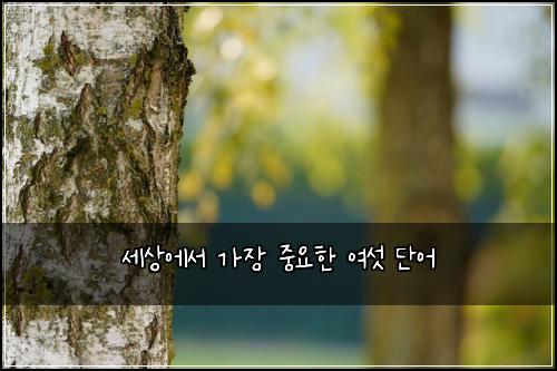 ์ธ์์์ ๊ฐ์ฅ ์ค์ํ ์ฌ์ฏ ๋จ์ด