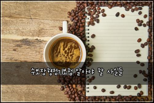 수보장형정기보험 알아야 할 사실들