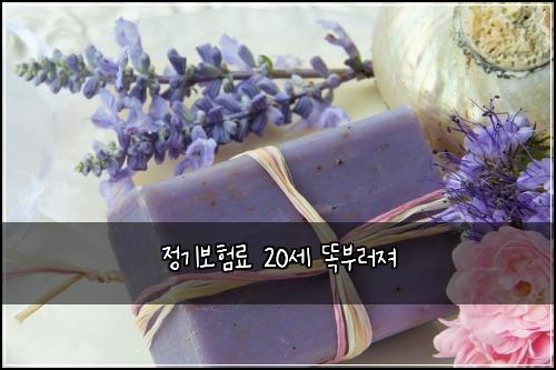 정기보험료 20세 똑부러져