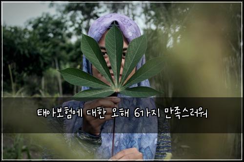 태아보험에 대한 오해 6가지 만족스러워
