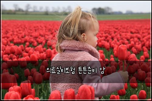 ์๋ฃ์ค๋น๋ณดํ ํผํผ์ค๋น ์