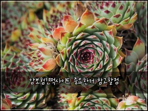 ์๋ณดํ๊ฒฌ์ ์ฌ์ดํธ ์ค์ํ๊ฑฐ ์ฐธ๊ณ ํ ์ 