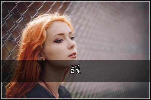 눈꽃