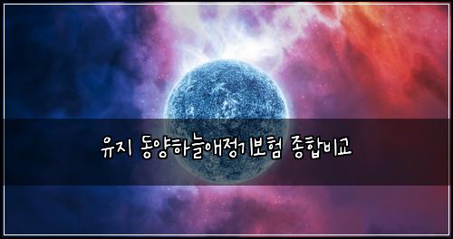 유지 동양하늘애정기보험 종합비교 