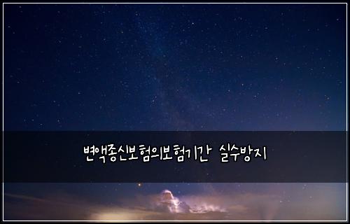 변액종신보험의보험기간 실수방지