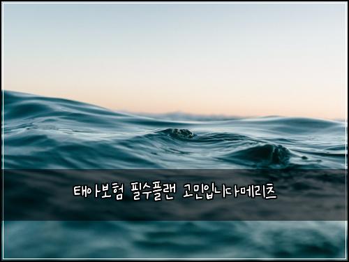 태아보험 필수플랜  고민입니다메리츠