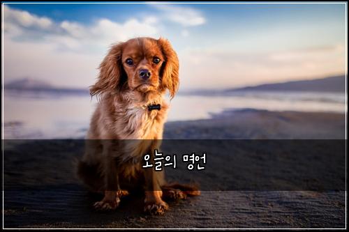 오늘의 명언