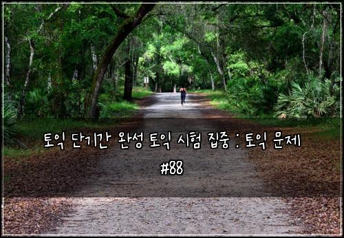 토익 단기간 완성 토익 시험 집중 : 토익 문제 #88
