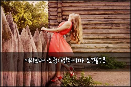๋ฉ๋ฆฌ์ธ ํ์๋ณดํ๊ฐ์
ํ๋๊น ๋ณด๋ฉด๋ณผ์๋ก