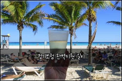 정기보험 완벽지원  실비 