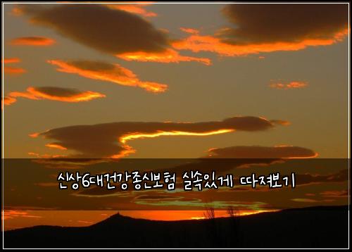 신상6대건강종신보험 실속있게 따져보기