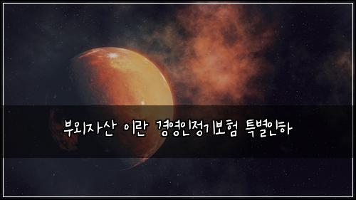 부외자산 이란 경영인정기보험 특별인하 