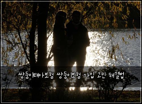 쌍둥이태아보험 쌍둥이보험 가입 고민 해결법