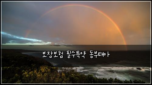 ๋ณด์ฅ๋ณดํ ํ์ํน์ฝ ๋๋ถํ์