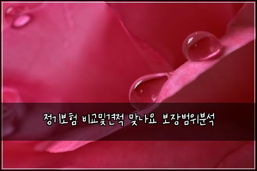 μ 기보ν λΉκ΅λ°κ²¬μ λ§λμ 보μ₯λ²μλΆμ