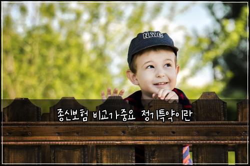 ์ข
์ ๋ณดํ ๋น๊ต๊ฐ์ค์ ์ ๊ธฐํน์ฝ์ด๋