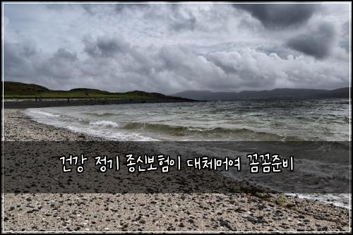 건강 정기 종신보험이 대체머여 꼼꼼준비