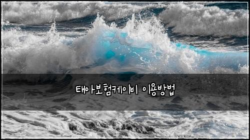 ํ์๋ณดํ์ผ์ด๋น ์ด์ฉ๋ฐฉ๋ฒ