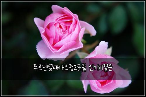 ํธ๋ฅด๋ด์
ํ์๋ณดํ2์ด๋ ์ธ๊ธฐ๋น๊ฒฐ์