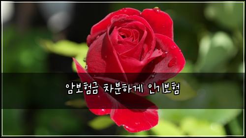 ์๋ณดํ๊ธ ์ฐจ๋ถํ๊ฒ ์ธ๊ธฐ๋ณดํ