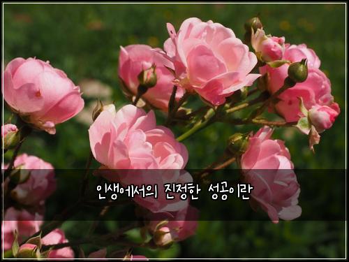 ์ธ์์์์ ์ง์ ํ ์ฑ๊ณต์ด๋