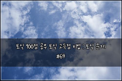 토익 900점 공부 토익 고득점 비법 : 토익 문제 #64